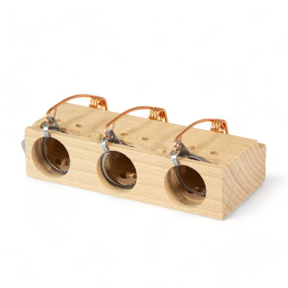 Guide pratique : créer un piège à souris efficace avec des matériaux maison